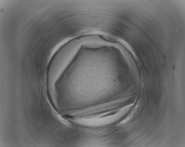 X0000061151149200512161549