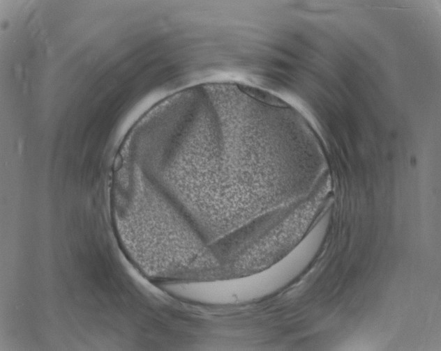 X0000061151151200512161549