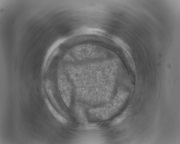 X0000061151152200512161549