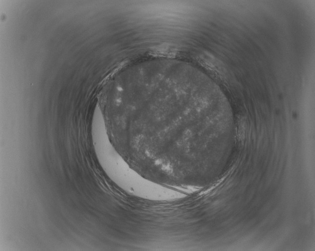 X0000061151154200512161548