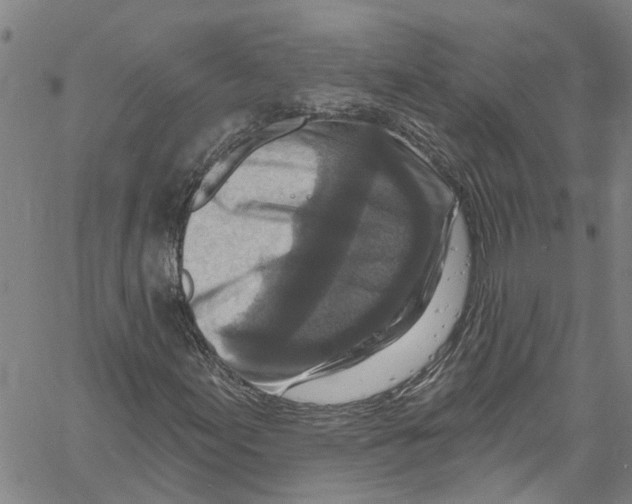 X0000061151155200512161548