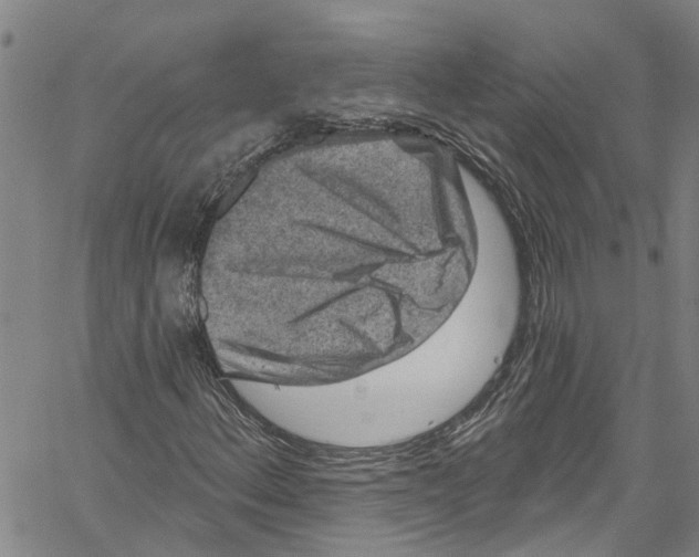 X0000061151156200512161548