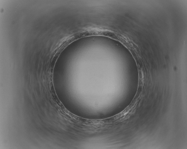 X0000061151157200512161548