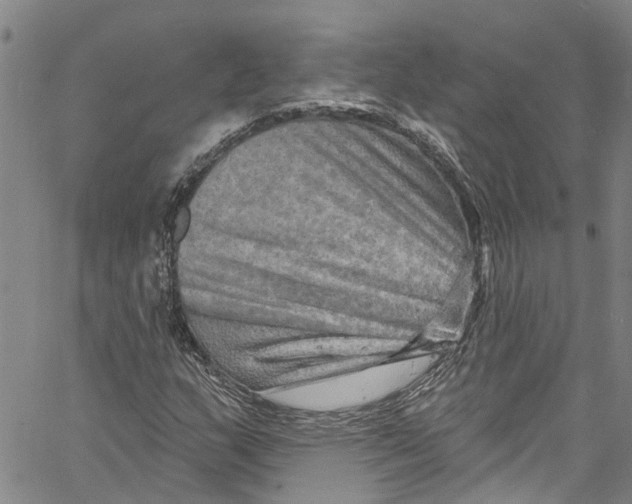 X0000061151159200512161548