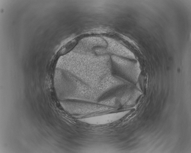 X0000061151160200512161548