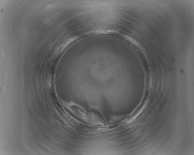 X0000061151161200512161548