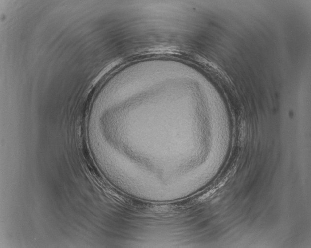 X0000061151162200512161548