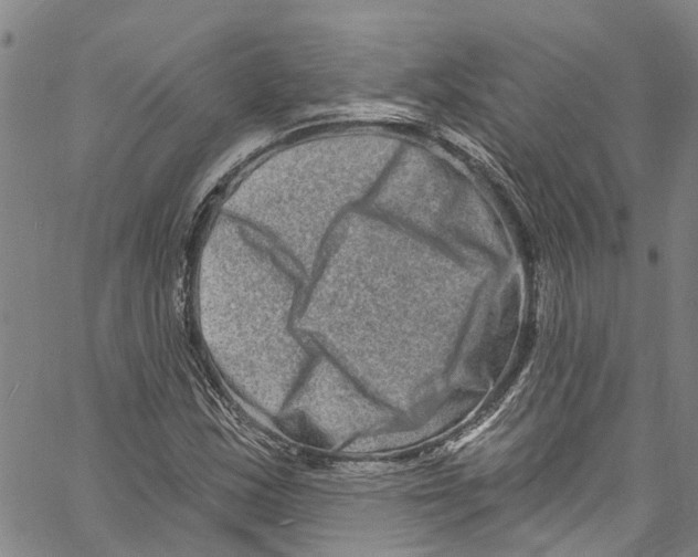 X0000061151163200512161548