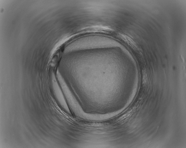 X0000061151164200512161548