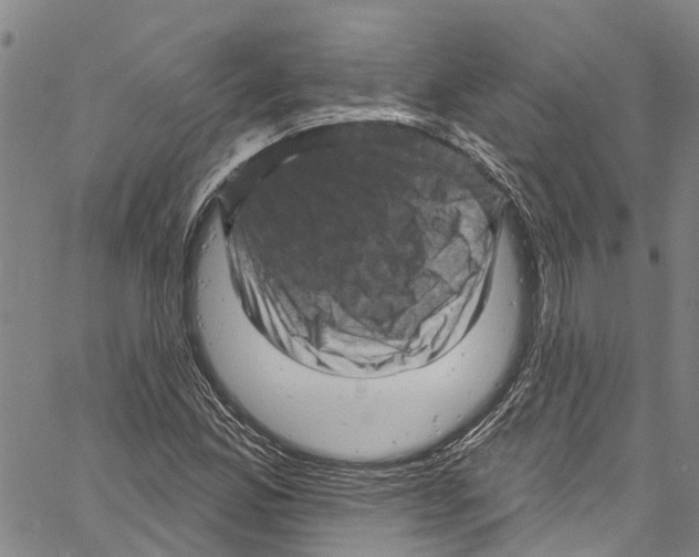 X0000061151165200512161548