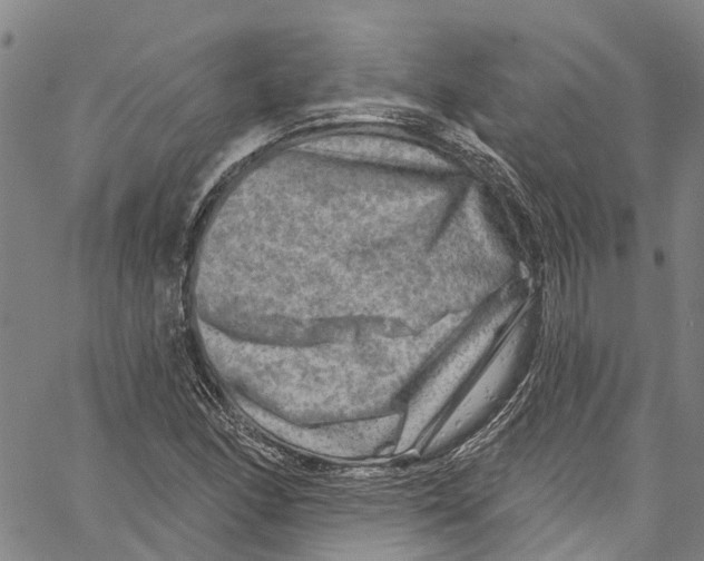 X0000061151166200512161548