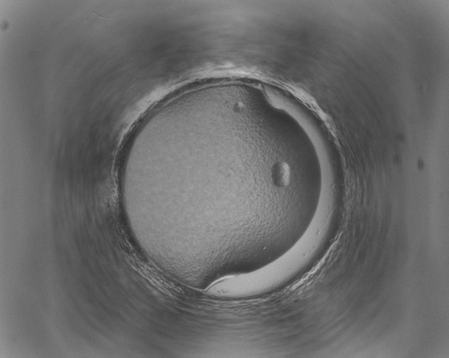 X0000061151167200512161548