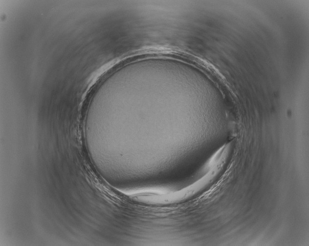 X0000061151168200512161548