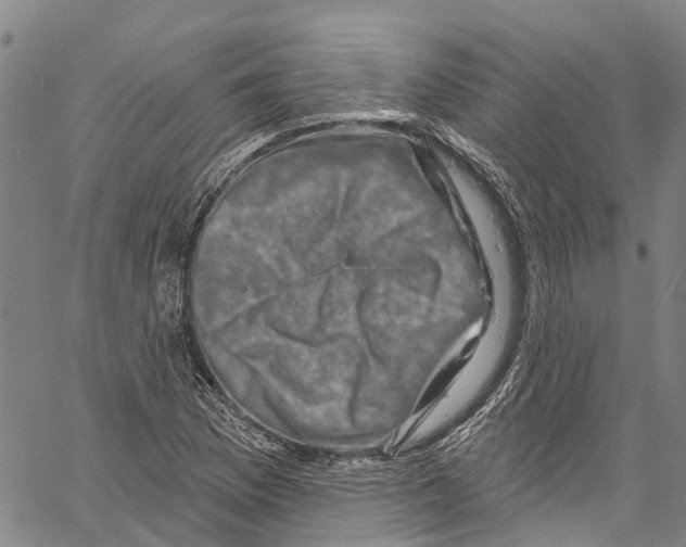 X0000061151169200512161548