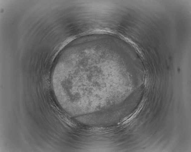 X0000061151170200512161548