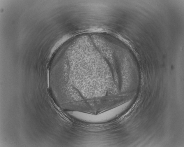 X0000061151171200512161548