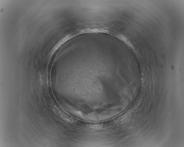 X0000061151173200512161548