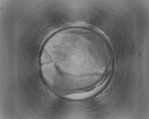 X0000061151174200512161548