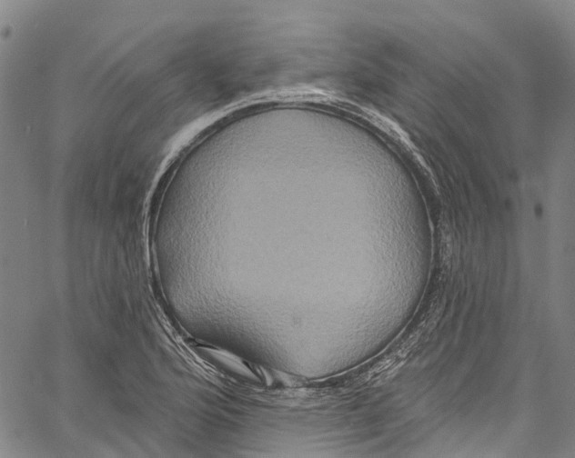 X0000061151176200512161548