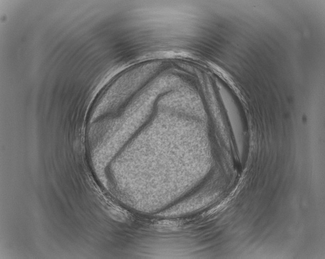 X0000061151178200512161548