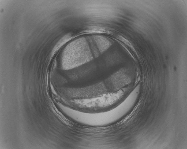 X0000061151179200512161548