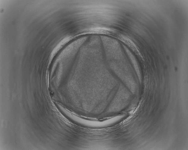 X0000061151180200512161548