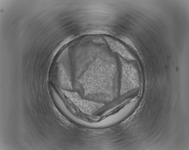 X0000061151181200512161548