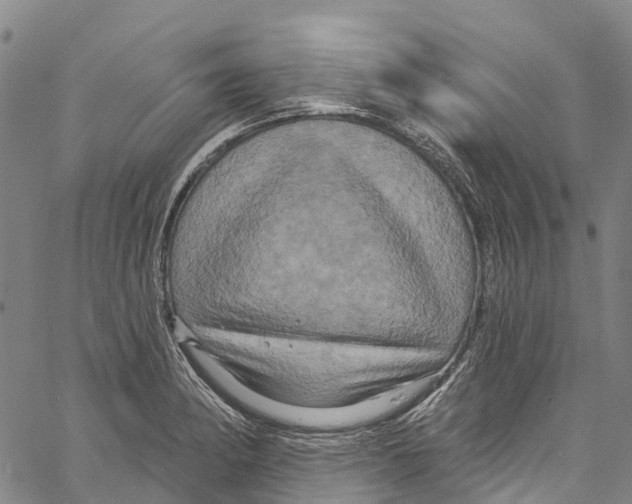 X0000061151182200512161548