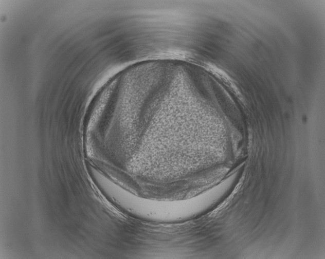 X0000061151184200512161548