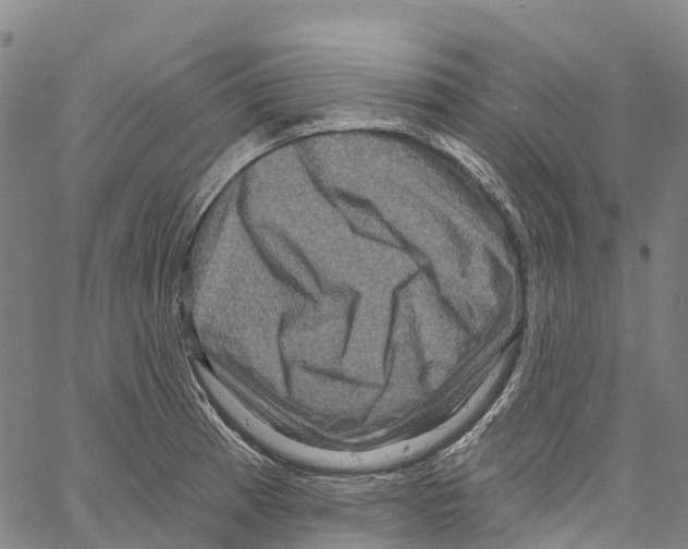 X0000061151185200512161548