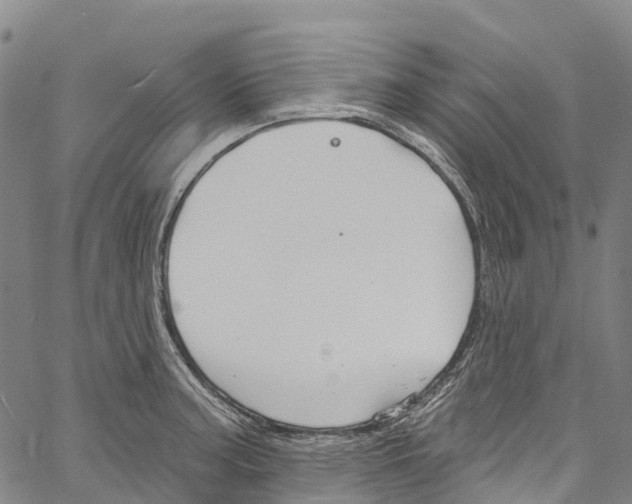 X0000061151187200512161547