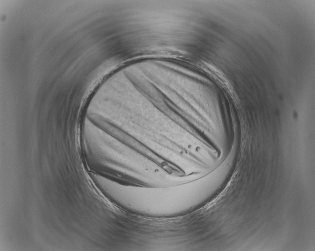 X0000061151188200512161547