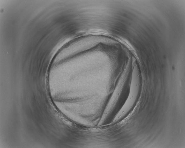 X0000061151190200512161547