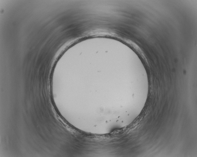 X0000061151191200512161547