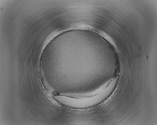 X0000061151192200512161547