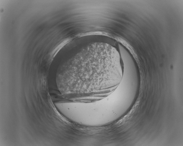 X0000061151193200512161547