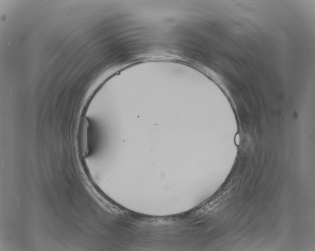 X0000061151195200512161547