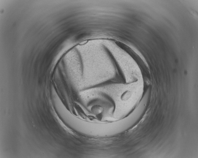 X0000061151197200512161547