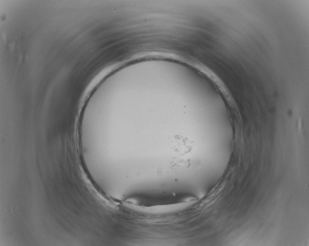 X0000061151199200512161547