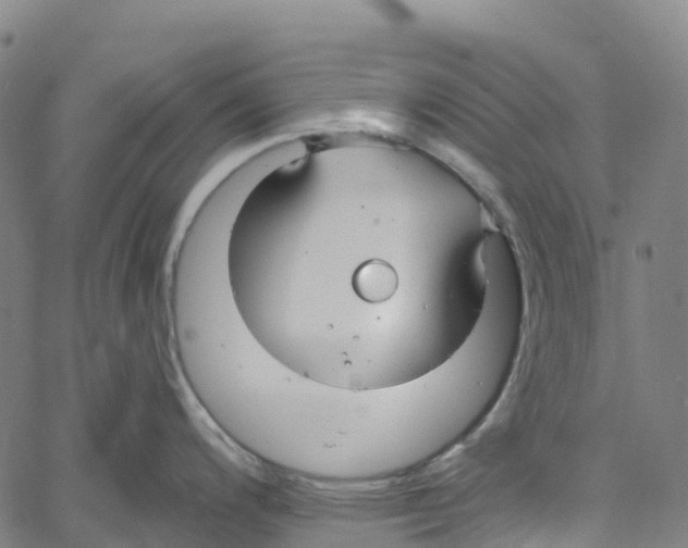 X0000061151200200512161547