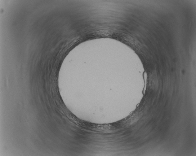 X0000061151201200512161546