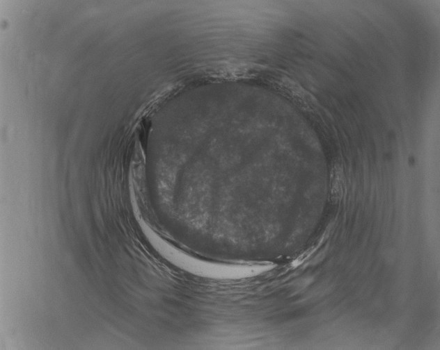 X0000061151202200512161546