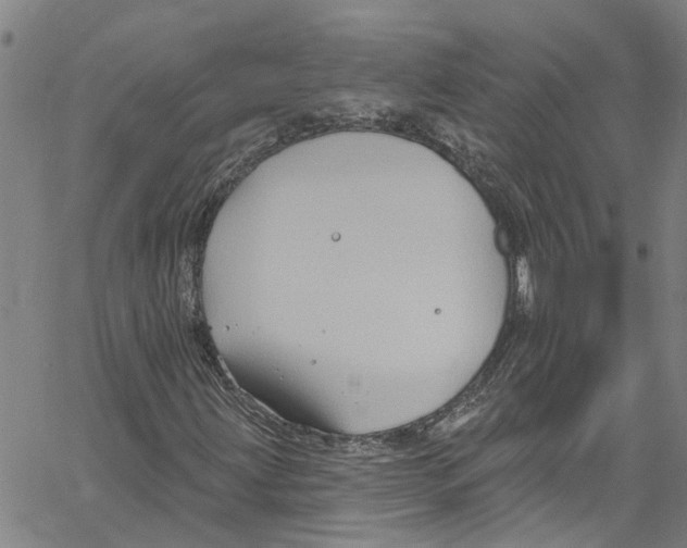 X0000061151203200512161547