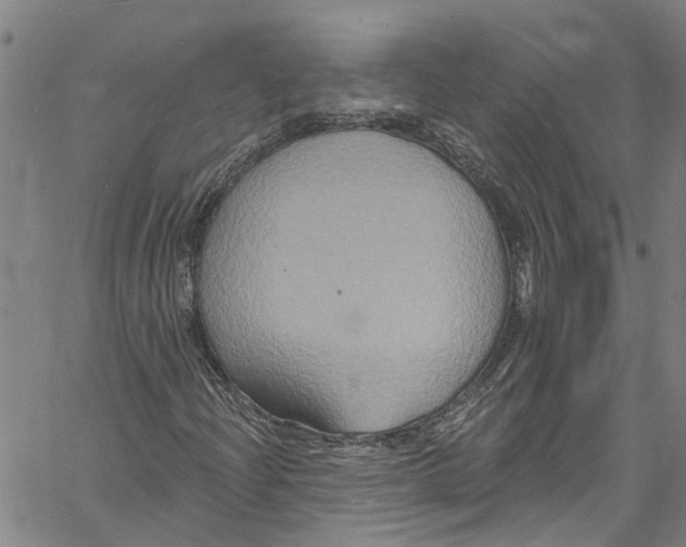 X0000061151204200512161547