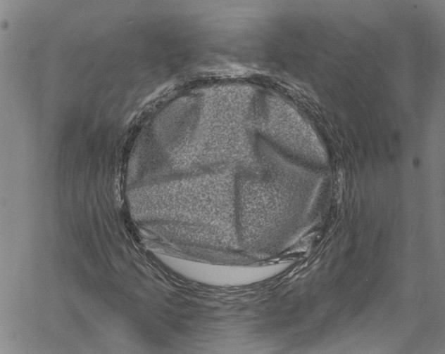 X0000061151205200512161547