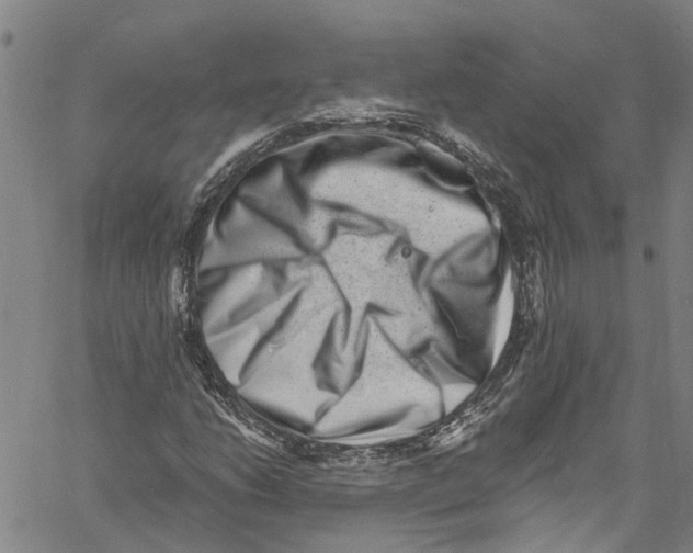 X0000061151206200512161547