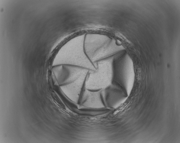 X0000061151208200512161547