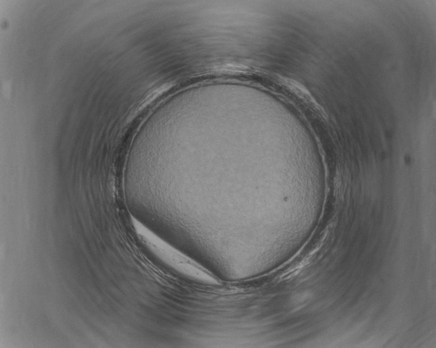 X0000061151209200512161547