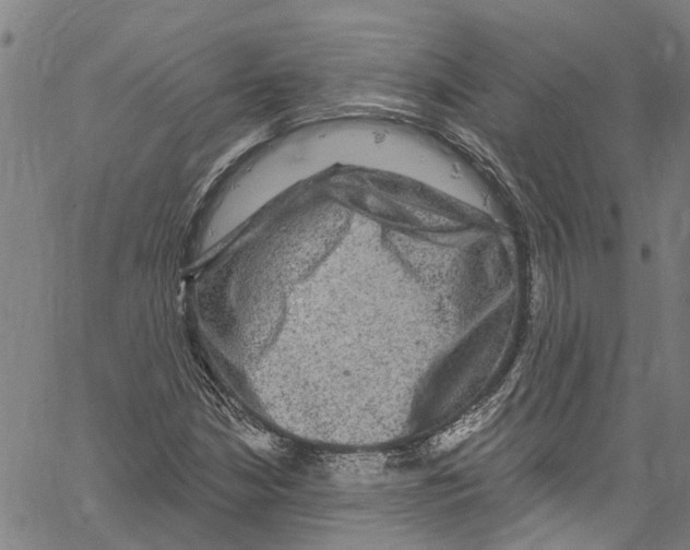 X0000061151210200512161547