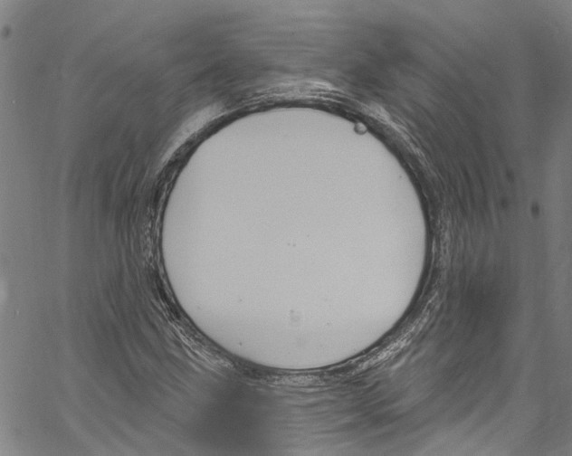 X0000061151211200512161547